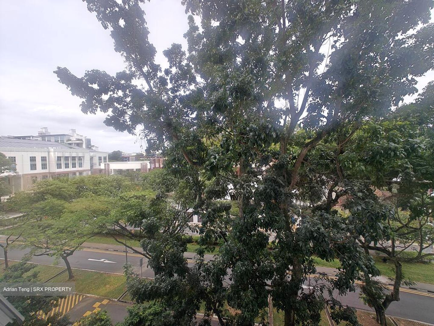 Blk 51 Commonwealth 10 (Queenstown), HDB 3 Rooms #524209431